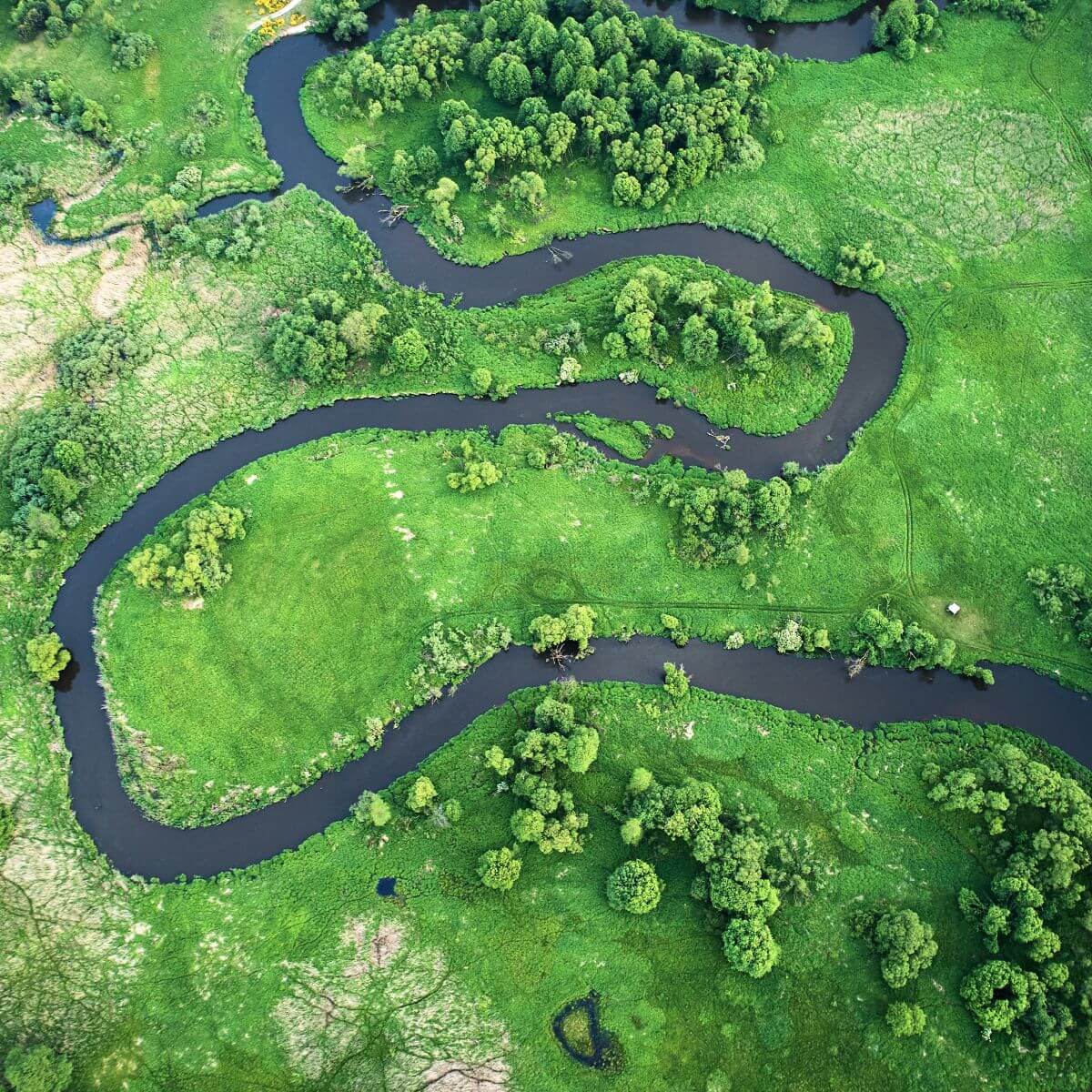 Aerial view of a winding river through green wetlands, highlighting natural landscapes, ecosystems and the importance of sustainable water resources